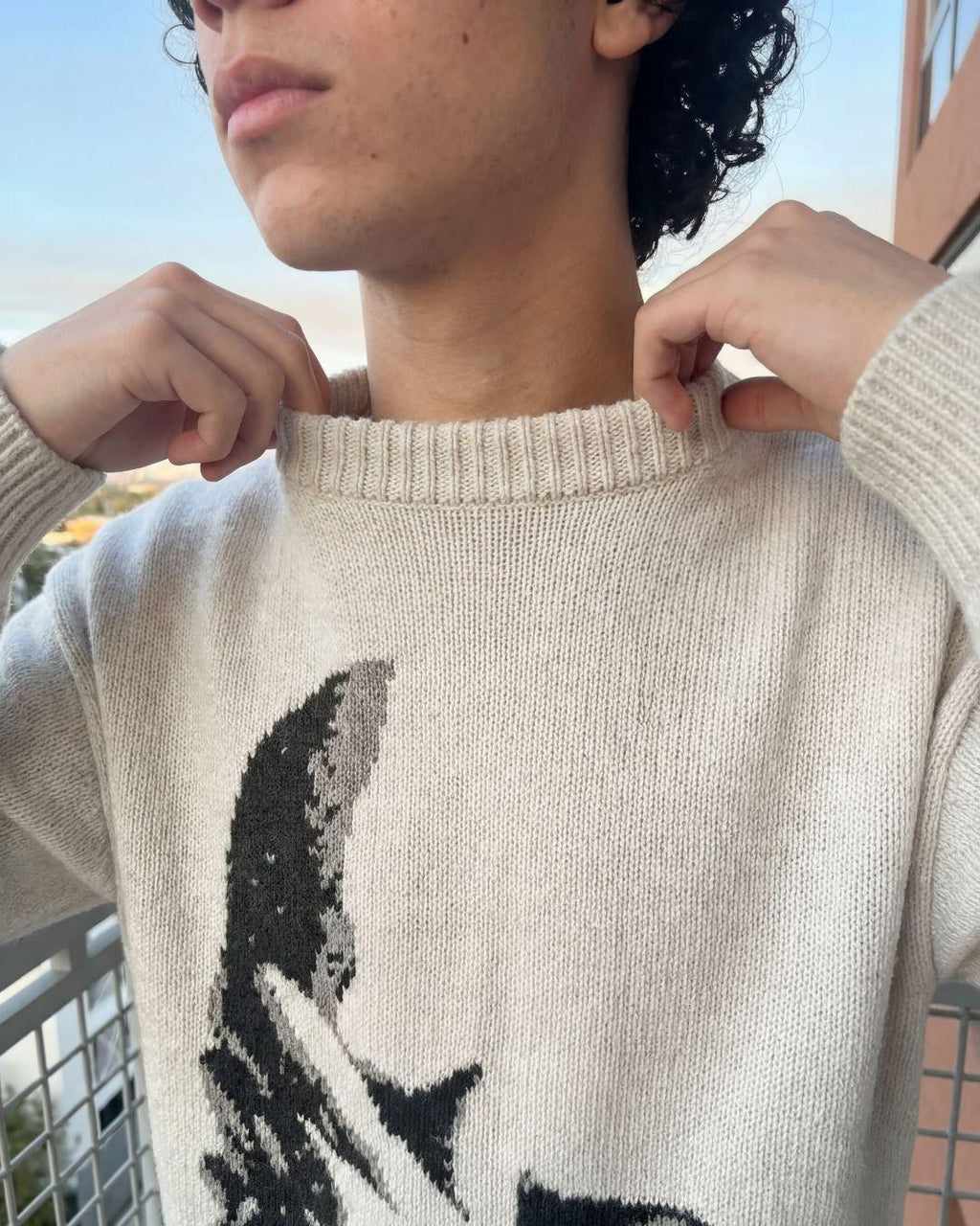 Jersey de punto «Why?»